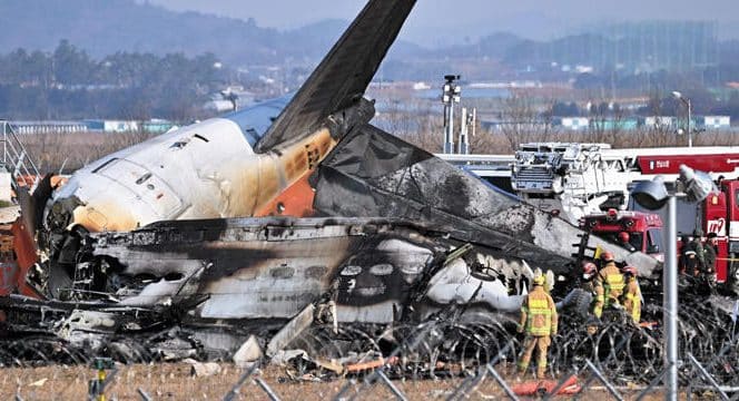 Слідчі знайшли пташине пір'я та кров в обох двигунах літака Boeing 737-800 авіакомпанії Jeju Air. FАвіакатастрофа 29 грудня стала наймасштабнішою у Південній Кореї