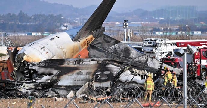 Слідчі знайшли пташине пір'я та кров в обох двигунах літака Boeing 737-800 авіакомпанії Jeju Air. FАвіакатастрофа 29 грудня стала наймасштабнішою у Південній Кореї